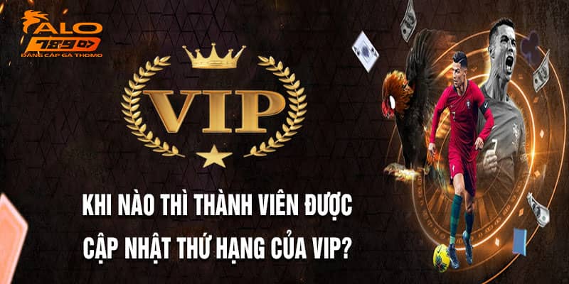 Tham gia ngay CLB VIP Alo789 để nhận được quyền lợi đặc biệt